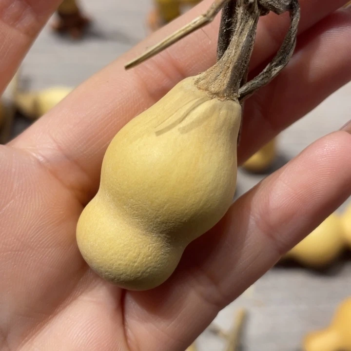 ꧁****葫芦葫芦葫芦葫芦