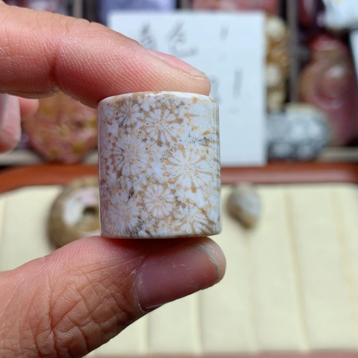 硅化珊瑚（珊瑚玉）颈饰未镶嵌
