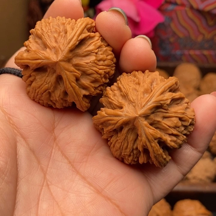 文玩核桃把件玉龙粗筋三棱41尺