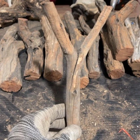 大果紫檀（缅甸花梨）雨*