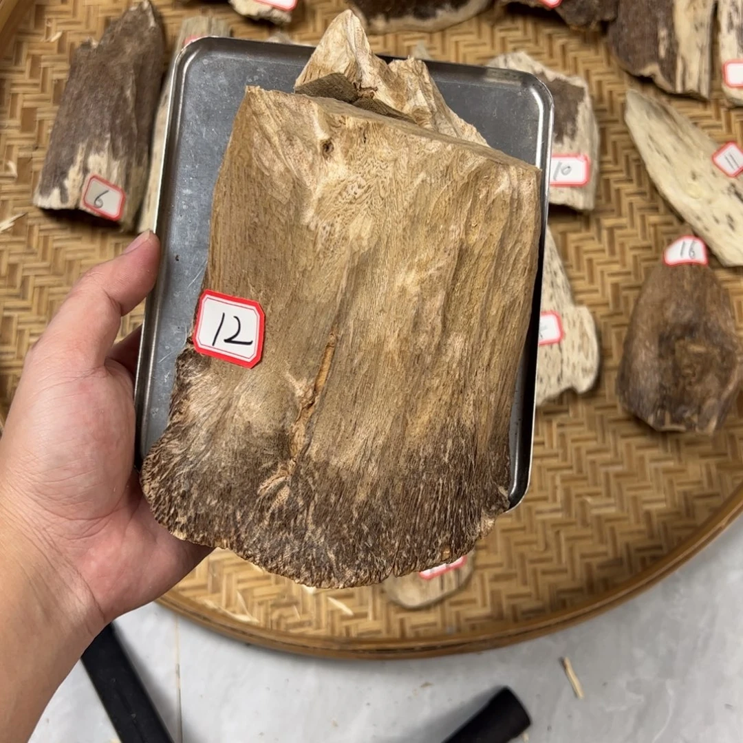 圈***圈沉香木沉香碎屑原木胚料