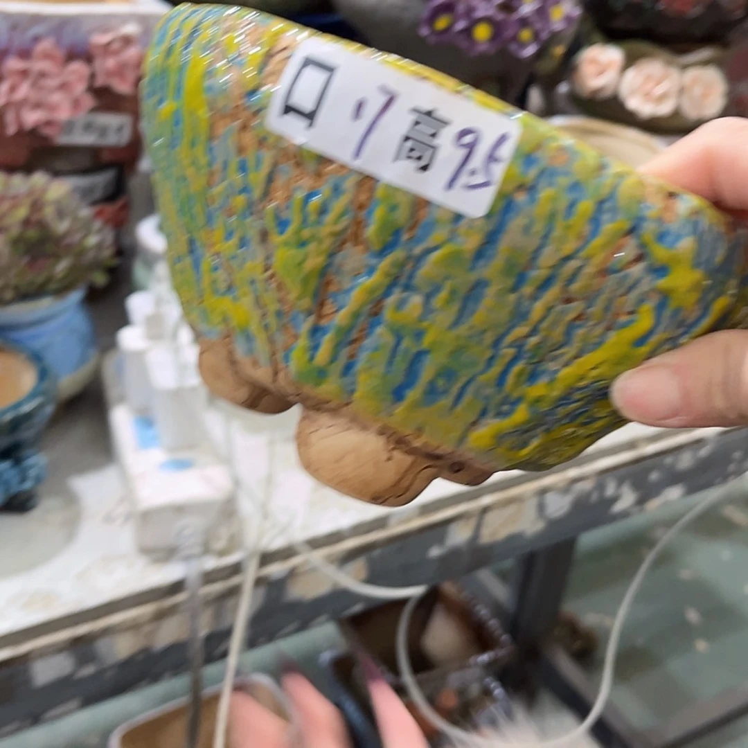 【闪购商品】红陶福利