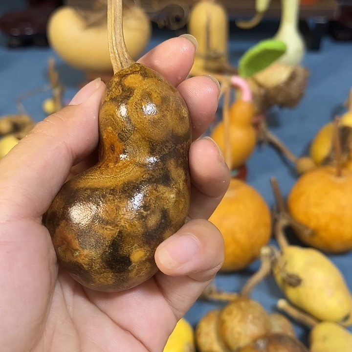 闲***适大叶紫檀（黑酸枝木类）