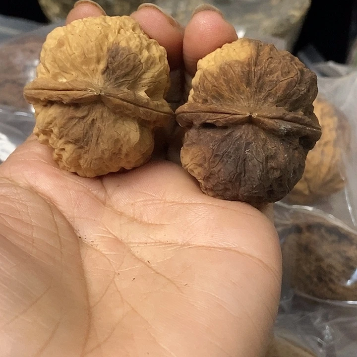文玩核桃把件云南铁核桃基地63