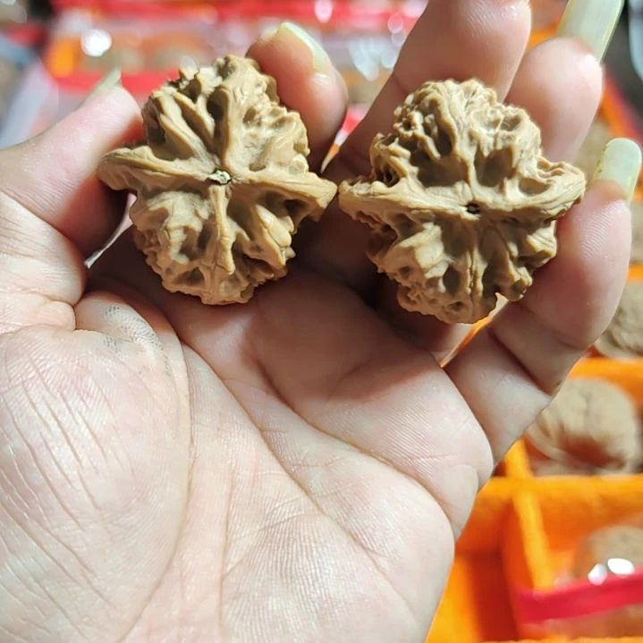 吊坠文玩核桃野狼1