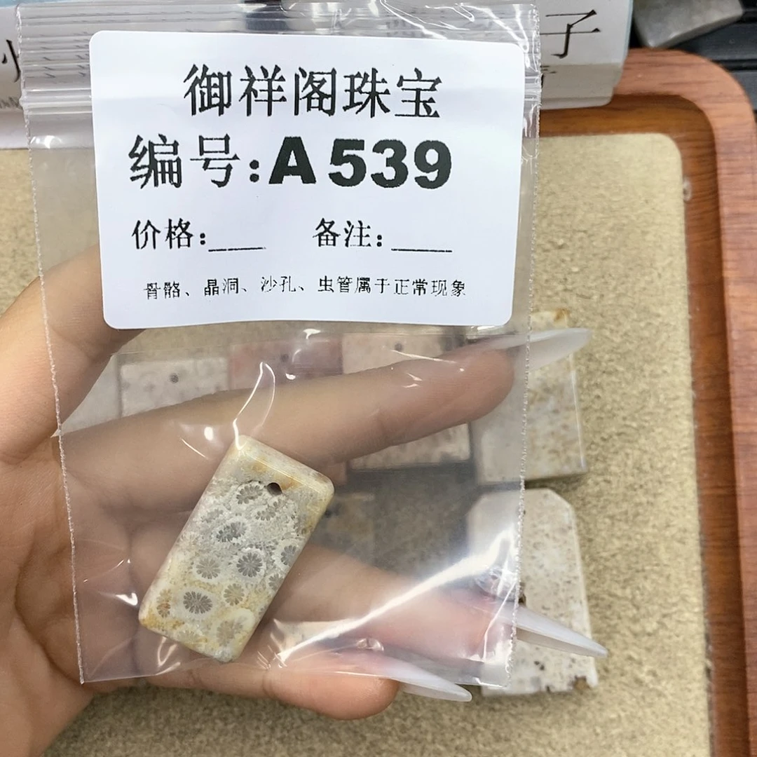 硅化珊瑚（珊瑚玉）A未镶嵌槐*