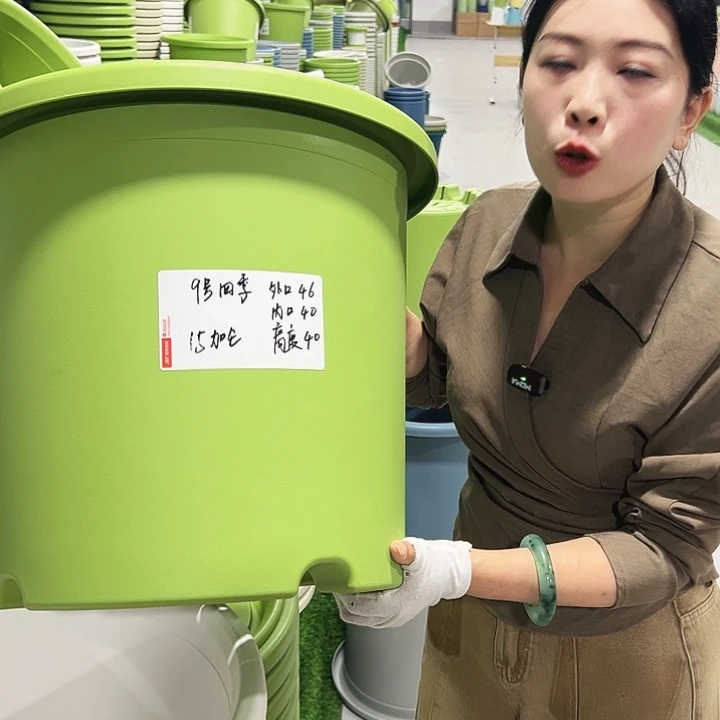 特价9号四季口46高40果绿2只无托