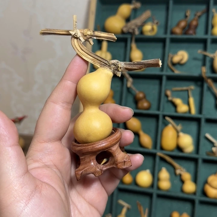 迷***路小猪天然葫芦葫芦葫芦葫芦