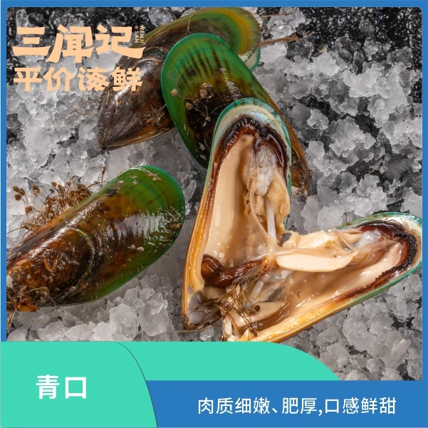 鲜活青口贝/青口