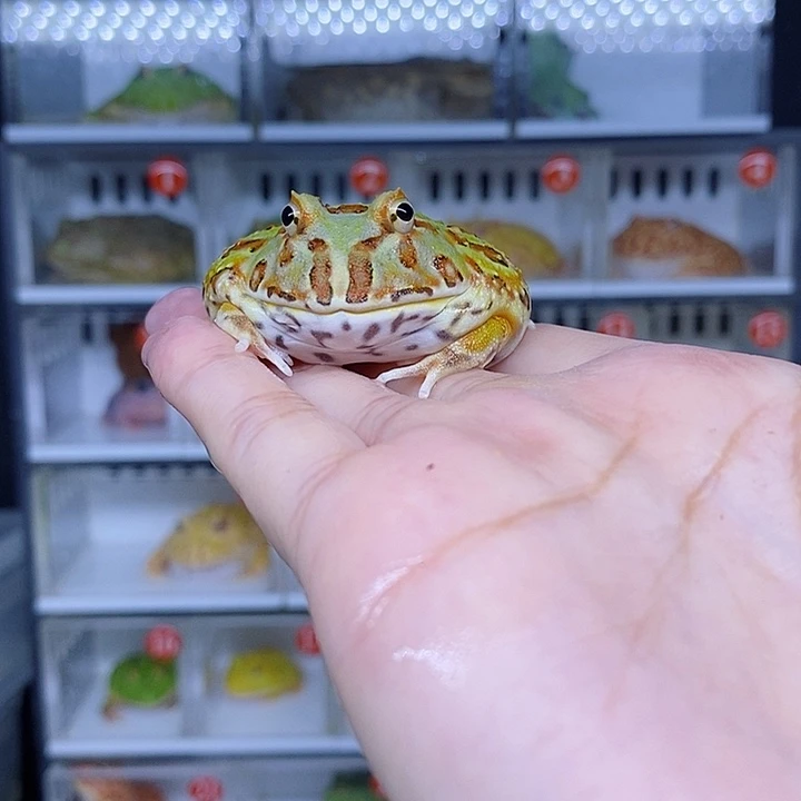 特价秒杀现货特价
