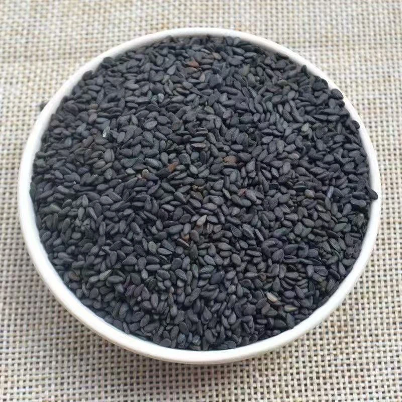 【升发】黑芝麻1号