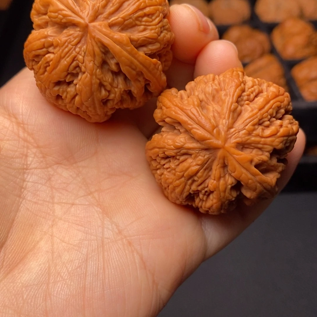 文玩核桃把件秦岭野生核桃