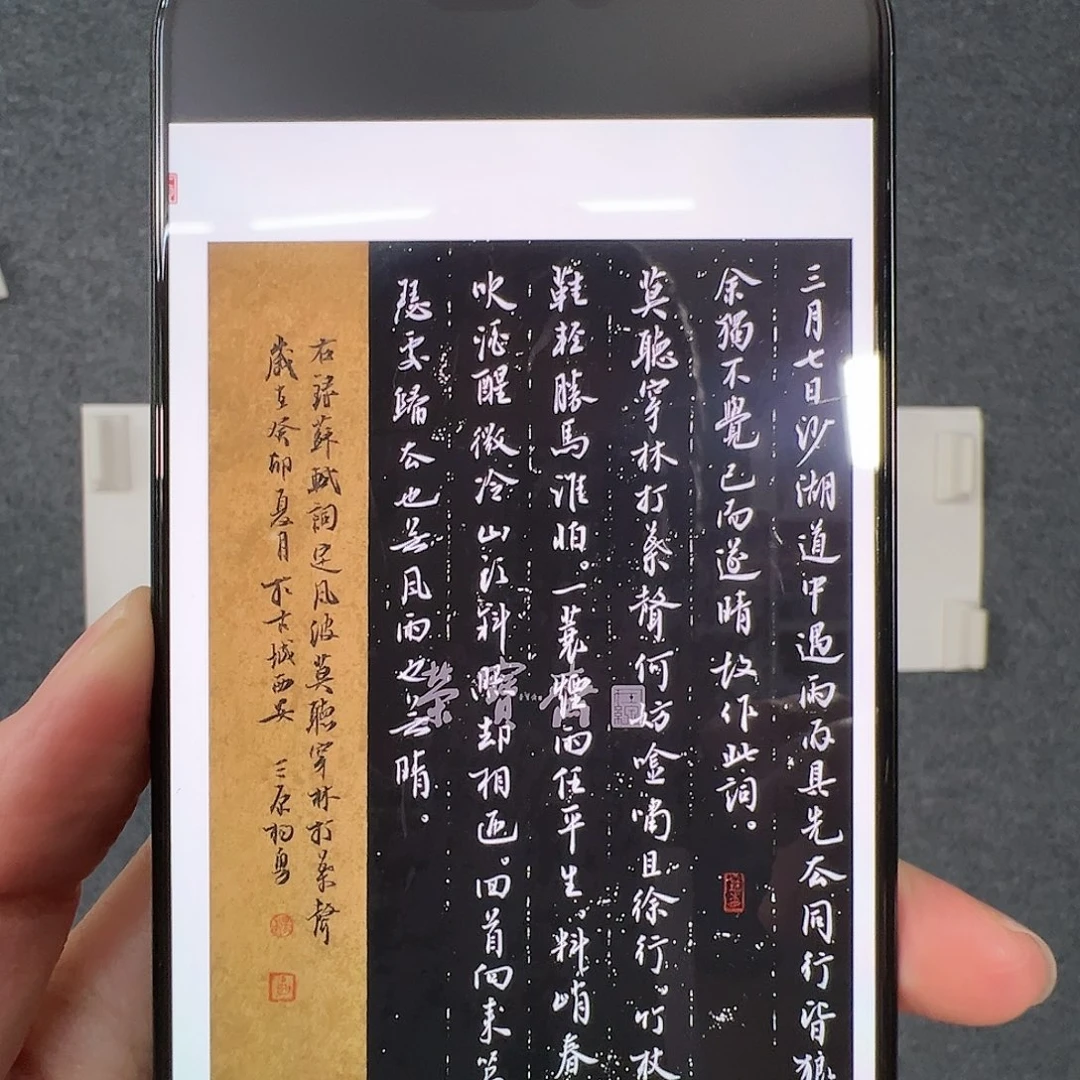 书法（g95834）定风波黑白 书画