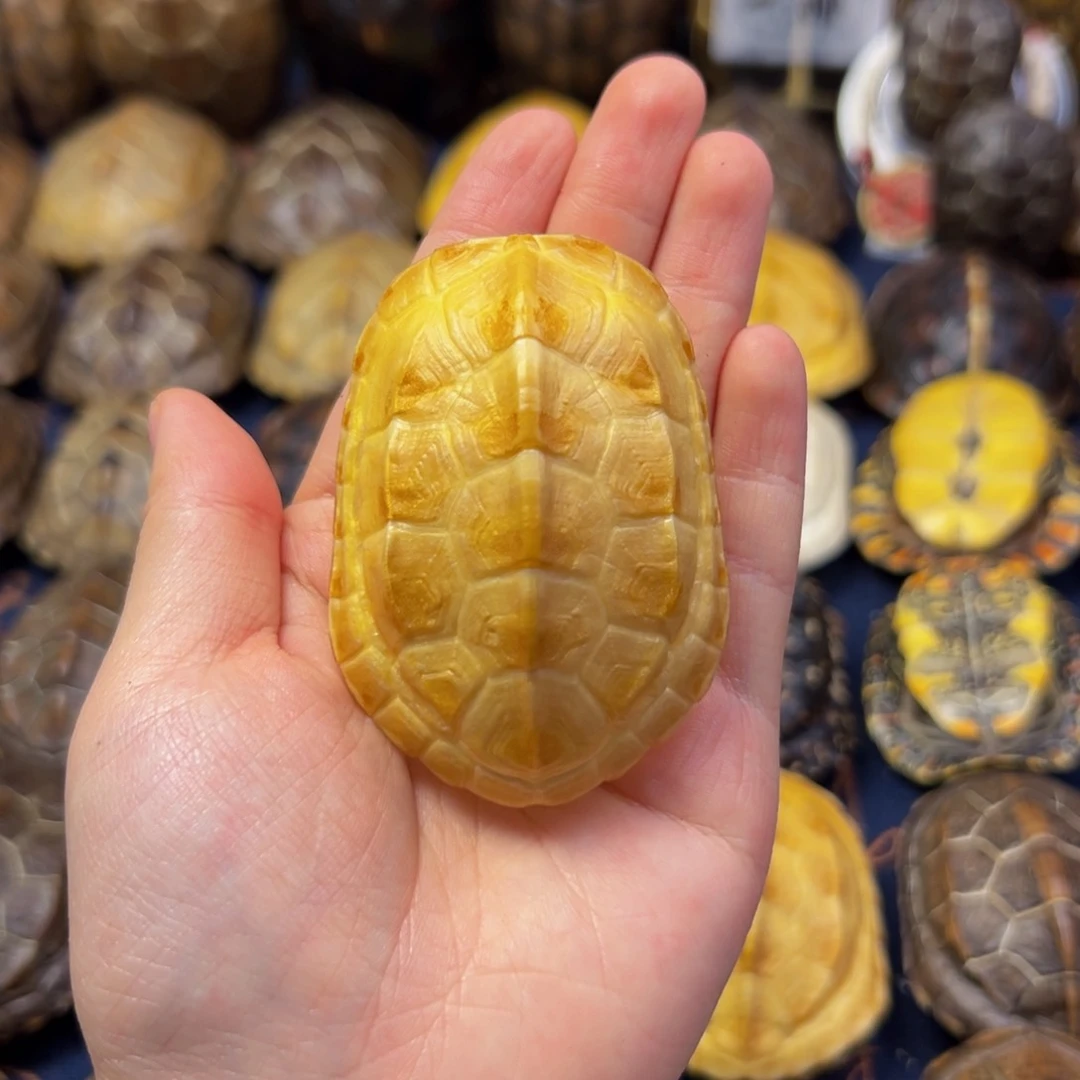 @***他文玩龟壳手把件摆件