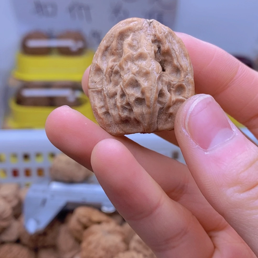 把件文玩核桃?异形核桃