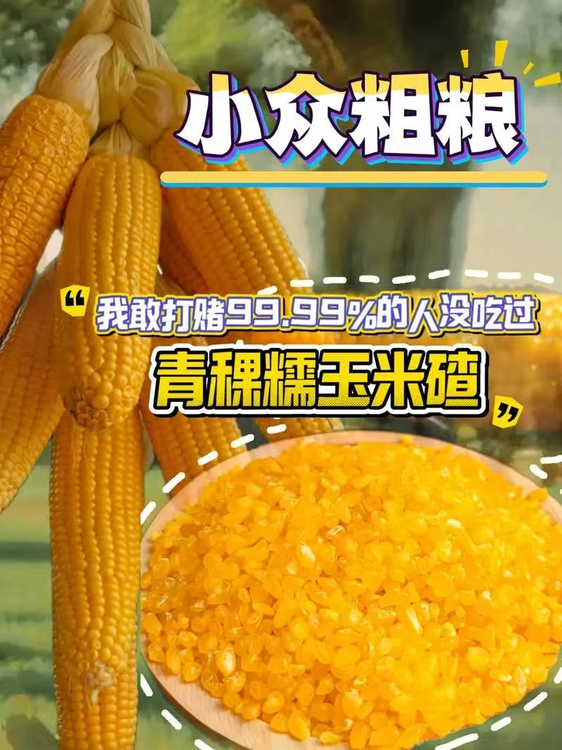2025年东北黄金新鲜糯玉米碴子
