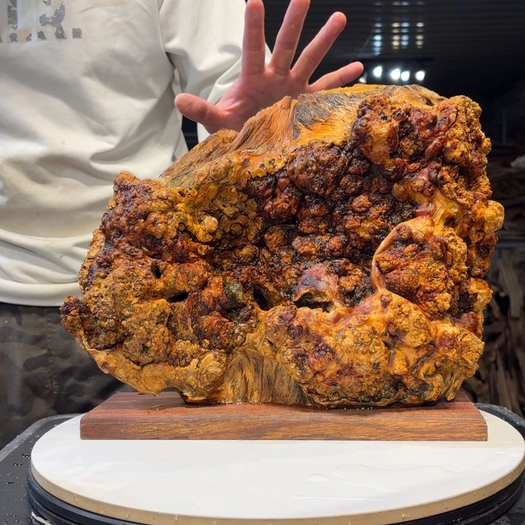 大***哥木猛子琥珀木摆件c35