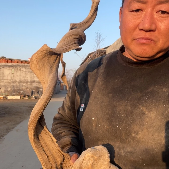 吃***货柏木（崖柏）啊啊啊啊啊啊啊啊