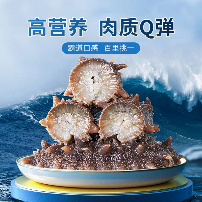 30头1份大连即食海参现场称辽刺参无冰顺丰包邮