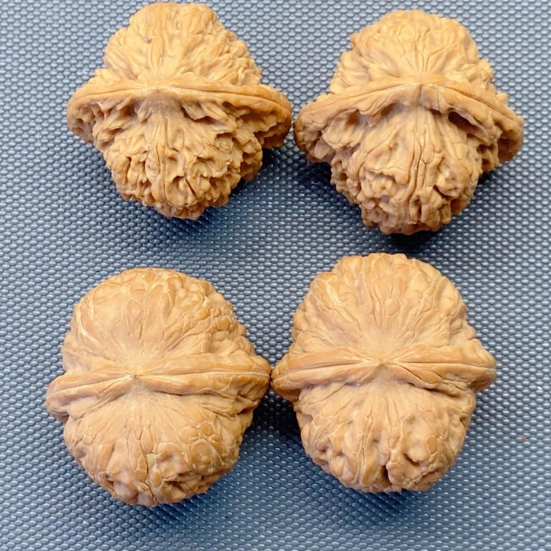 阿***椰元宝南疆石文玩核桃