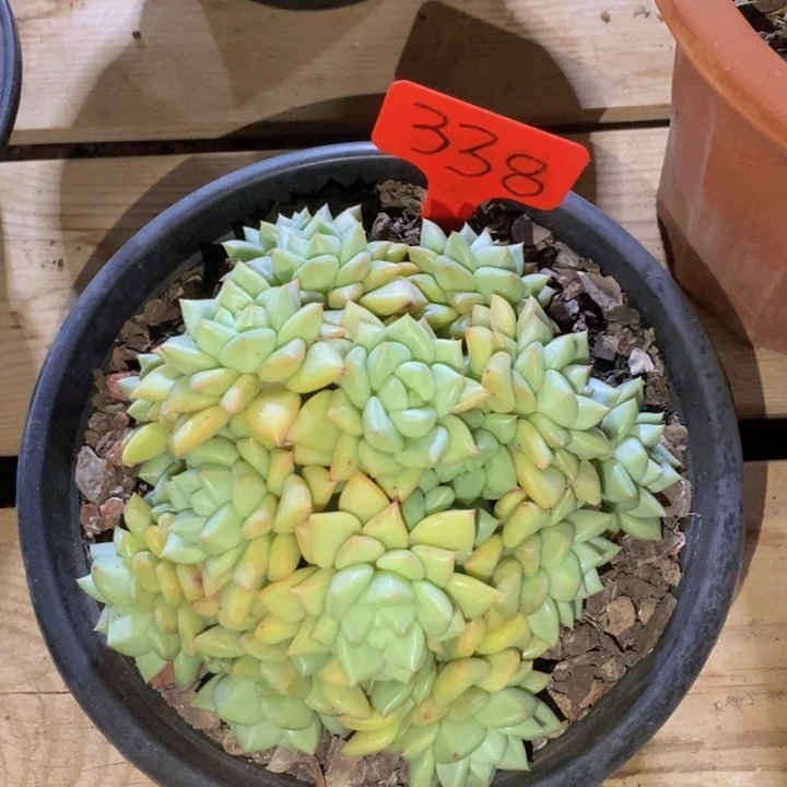 这个点吃晚饭真的有点