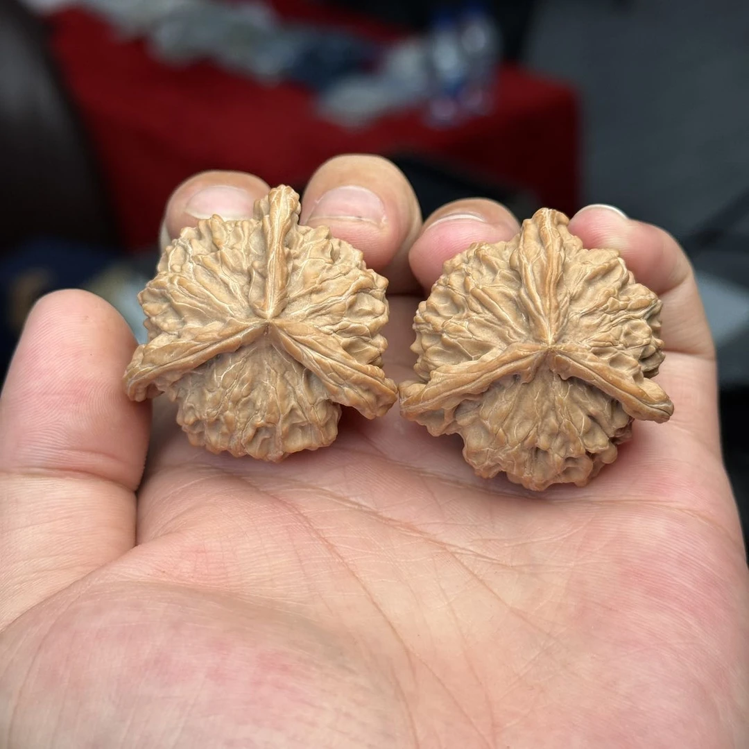 【老胡严选】8 G71457-盘山三棱核桃（全品）-42mm