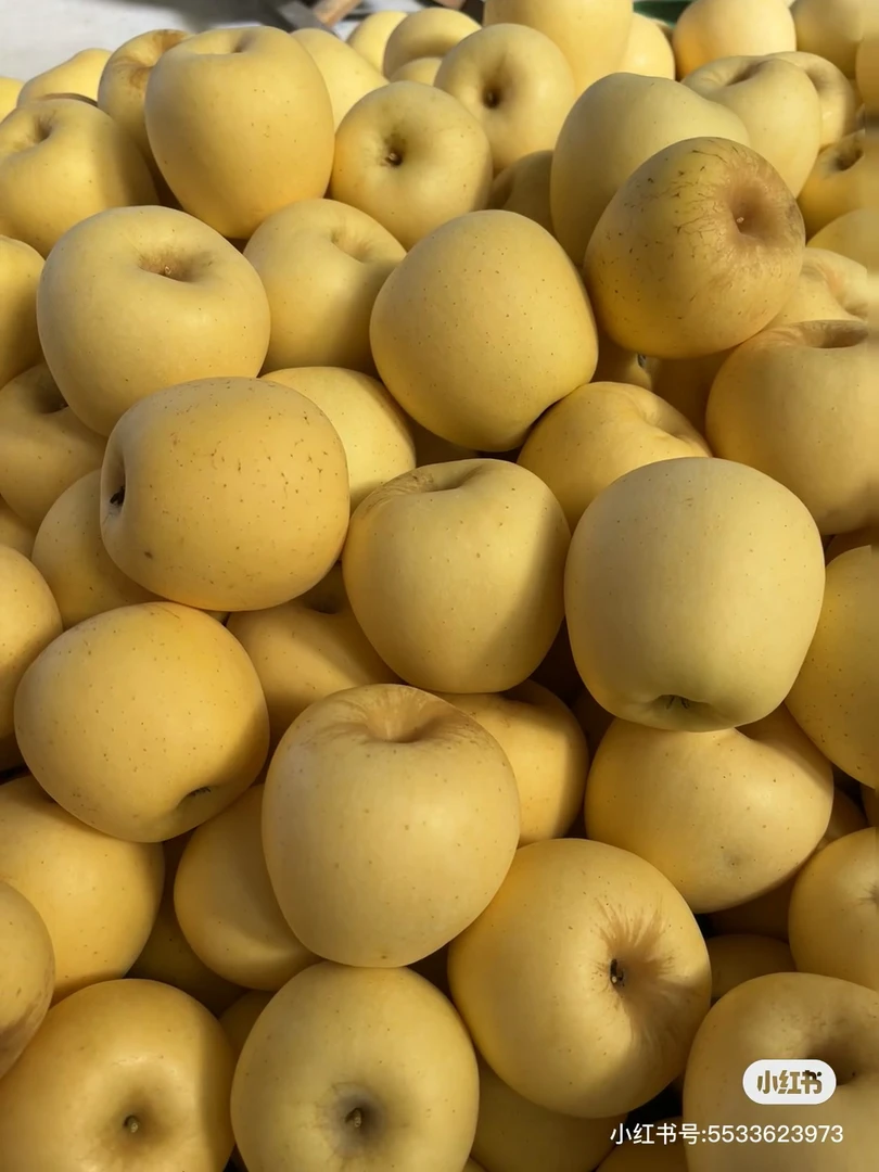黄金维纳斯苹果小果（3斤）