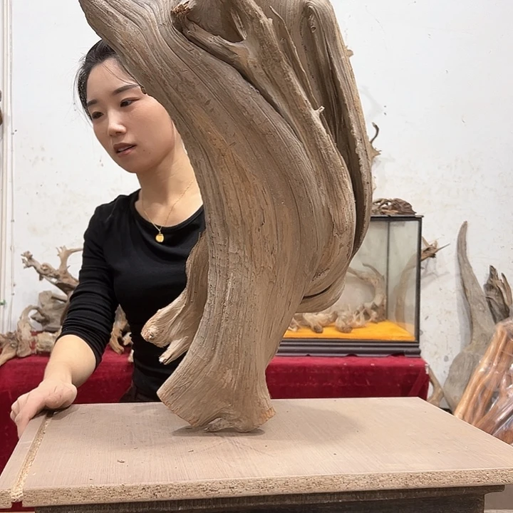 柏木爱***辉我们的生活也
