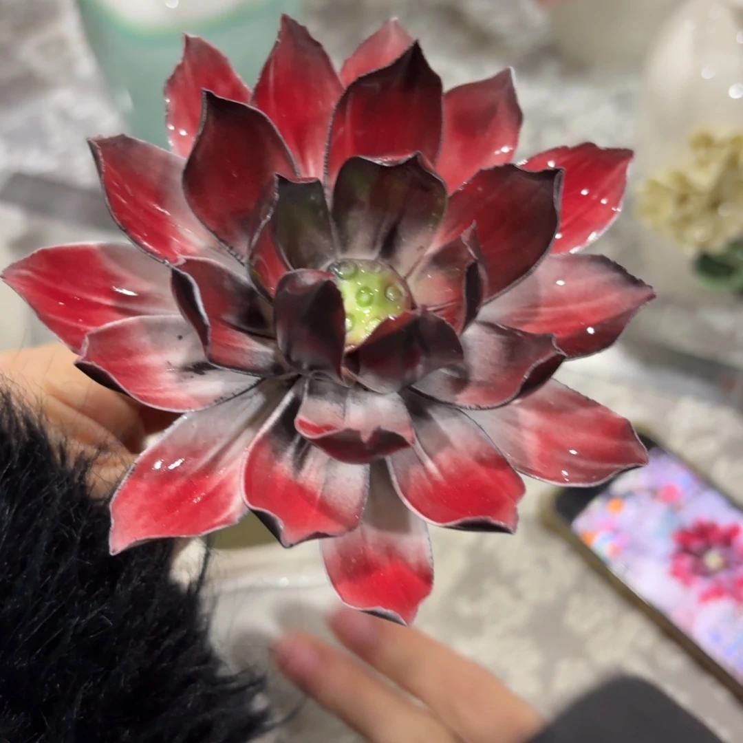 满20发陶瓷花爱退拉黑