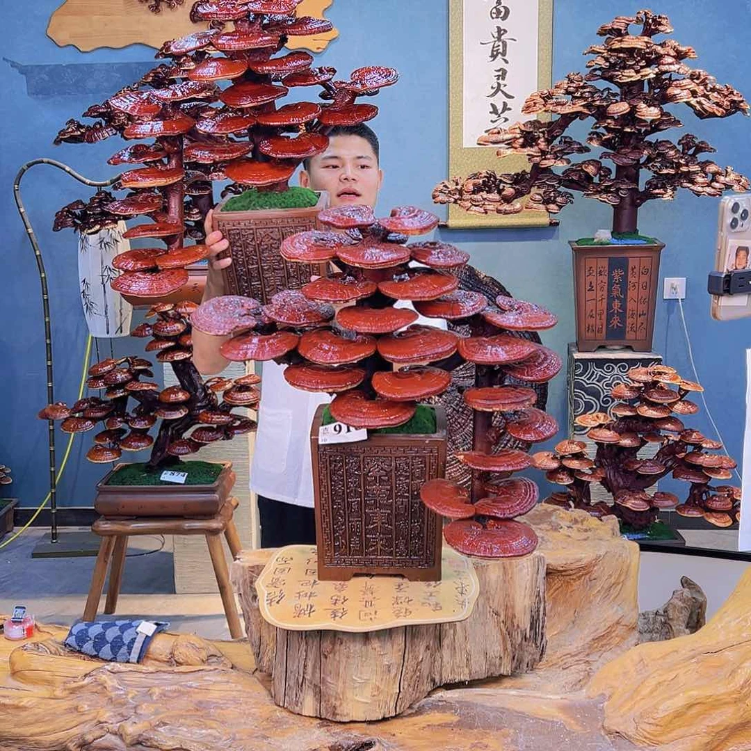 无花朵8888888888888888888