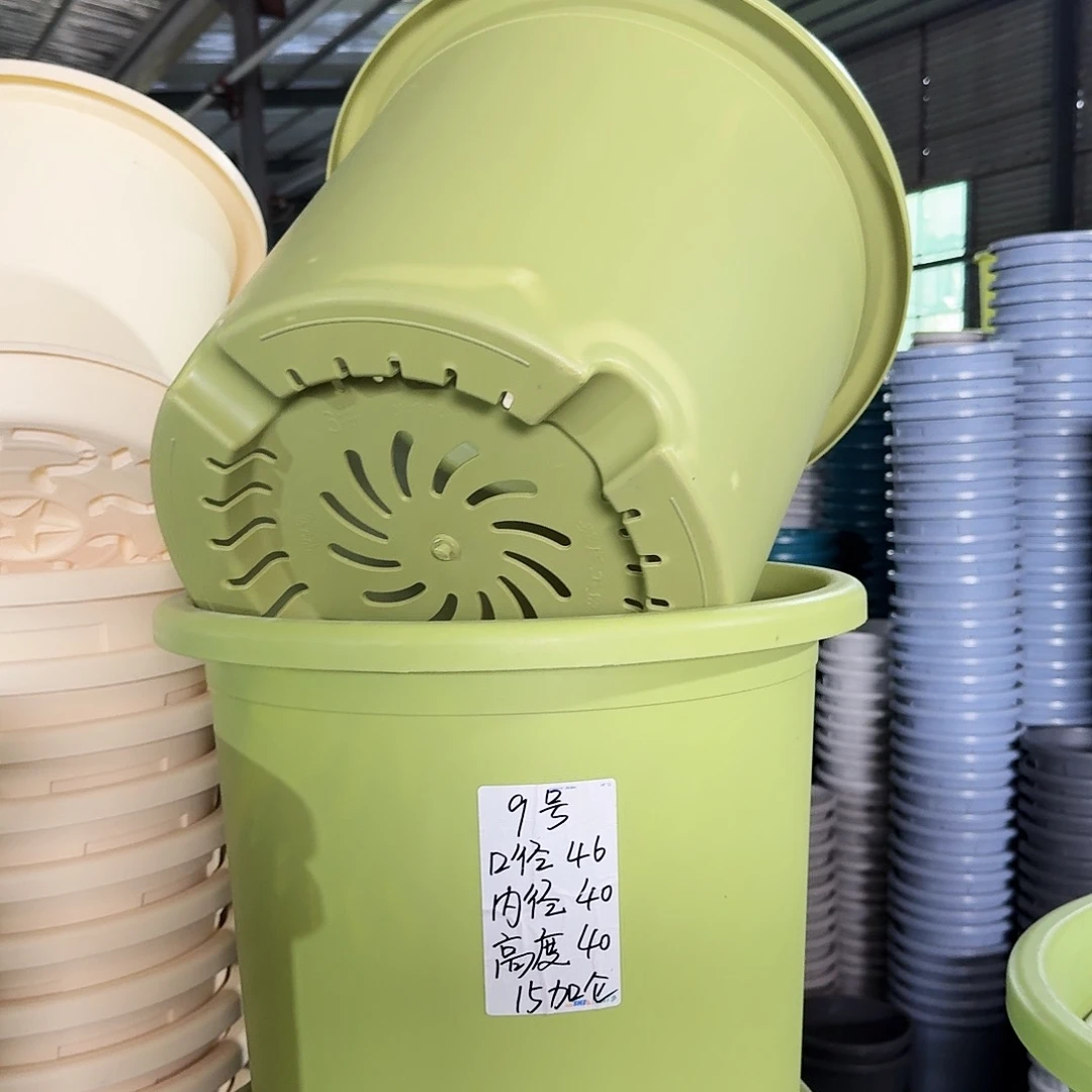 微瑕9#口径46无拖果绿3个