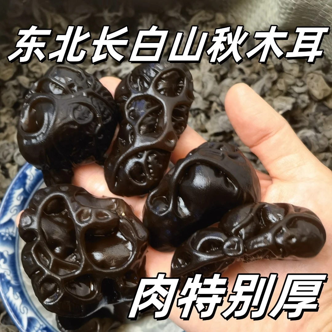 东北黑木耳【大筋木耳】长白山特产高泡发木耳肉厚无根免摘干货包邮