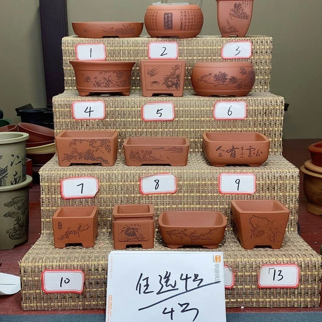 紫砂花盆我在等他