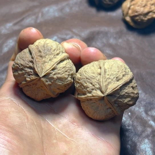 文玩核桃把件3号金蟾疙瘩包四楞卡41