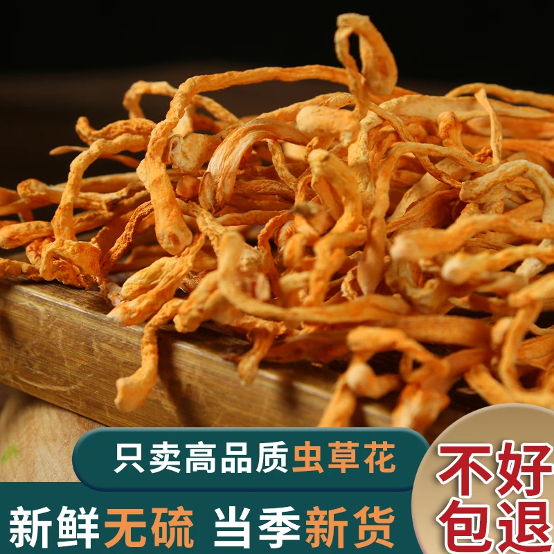 干度十足虫草花干货新货特产美味凉拌煲汤火锅