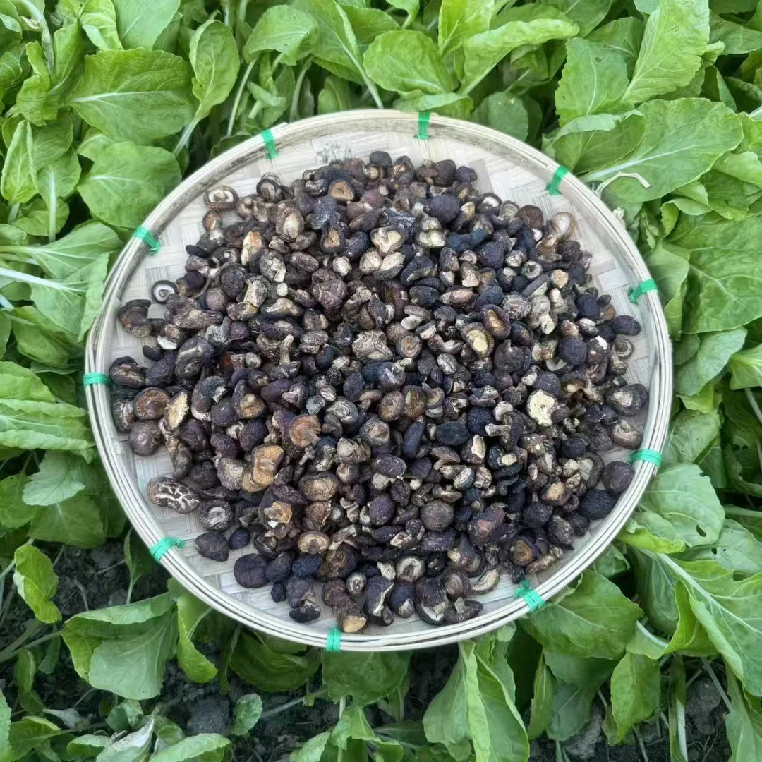 正宗香菇干  可炒菜