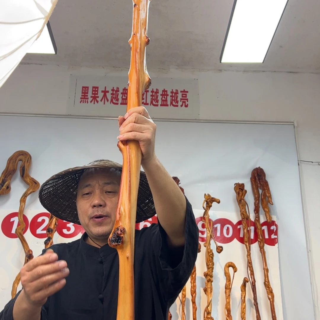 黑果木其他黑果木661