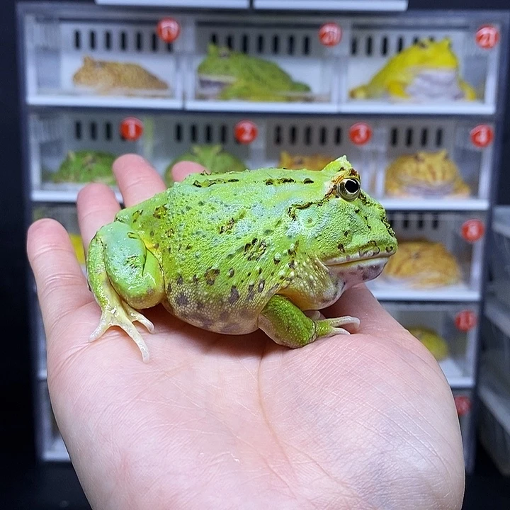 特价促销开始啦哇