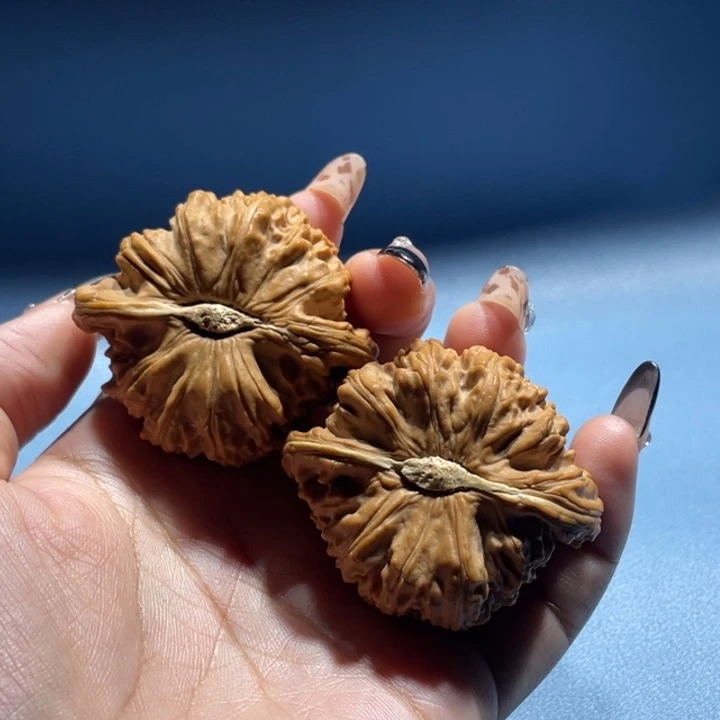 卡姿兰大眼睛49尺寸白狮子