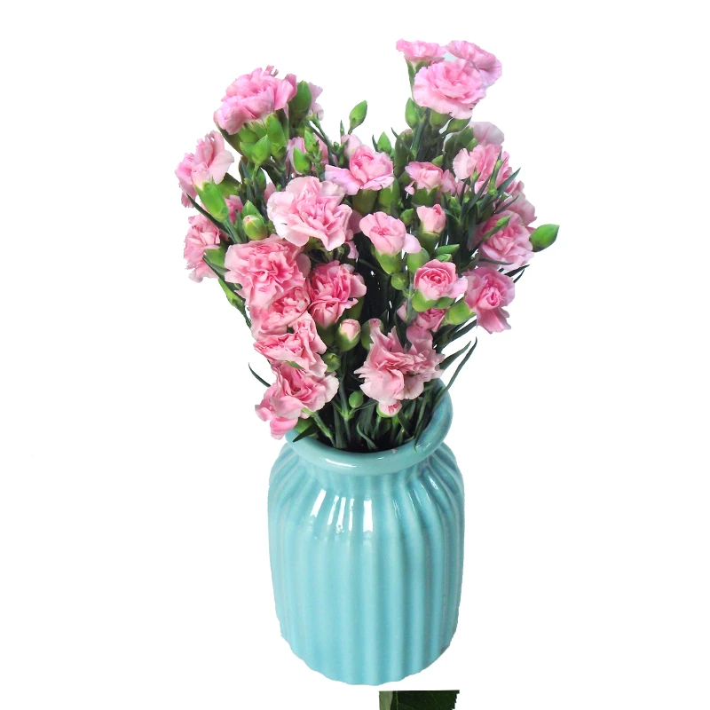 多头粉色康乃馨10支【全场任意满两单包邮 空运鲜花次日达】