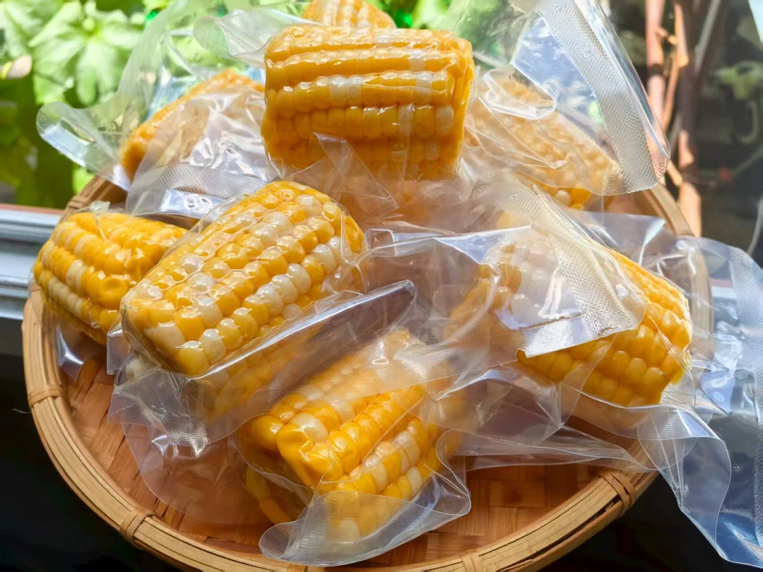 即食玉米包谷 云南德宏特产 甜脆玉米段代餐水果玉米水份足香脆甜
