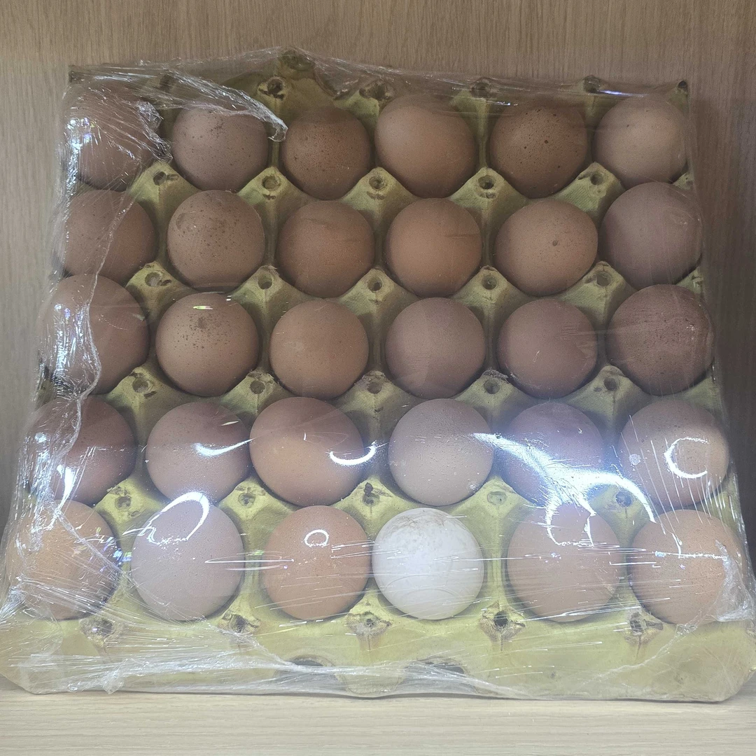 鲜鸡蛋一板30枚