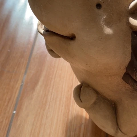 【闪购商品】罐星*L摆件摆件摆件摆件摆件不