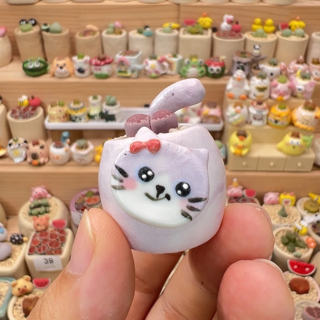 猛***O多肉植物47号拇指盆