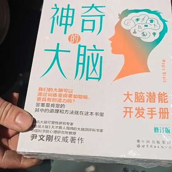 神奇的大脑平装库存书