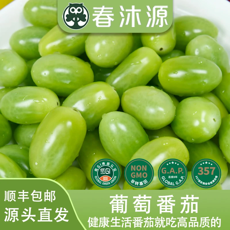 春沐源绿色小番茄皮薄清甜脆口多汁营养爽顺丰包邮圣女果小番茄