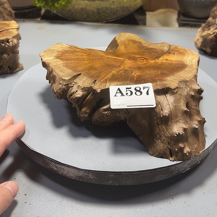 *****大果紫檀（缅甸花梨）