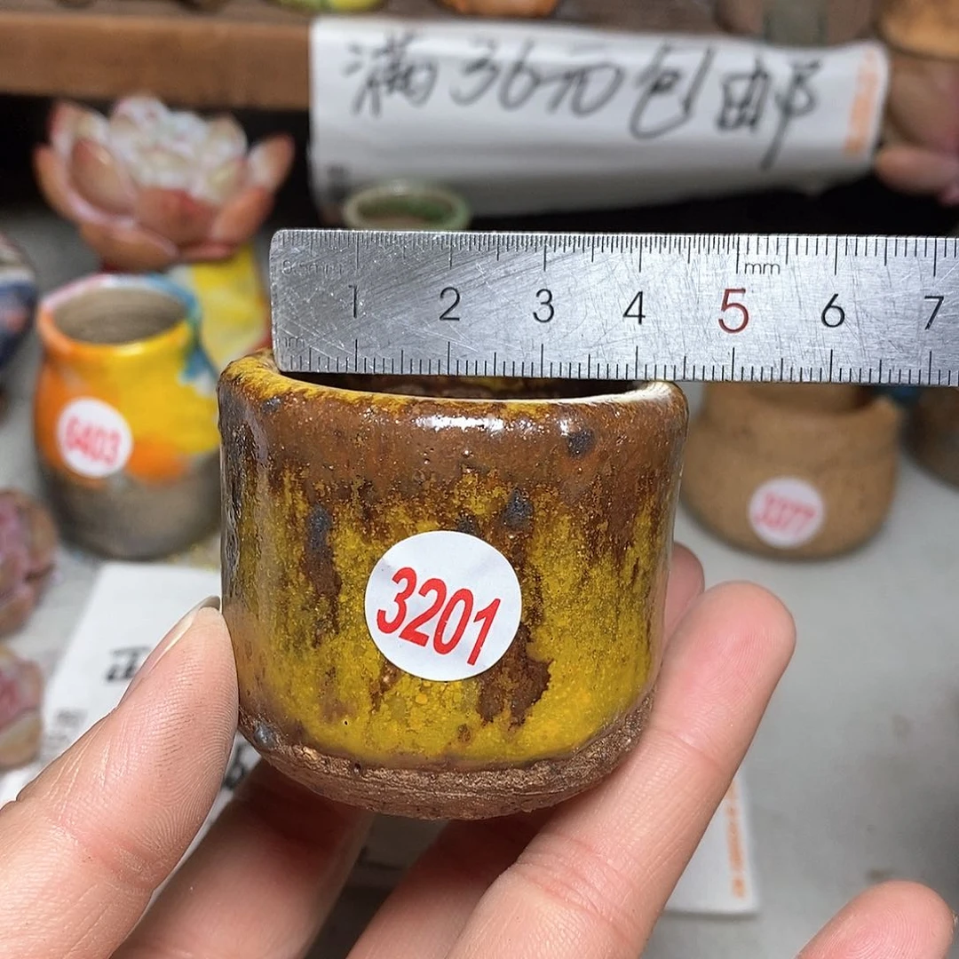 红陶拍5送一个小