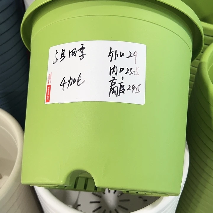 正品5号四季口29高24.5果绿无托5只