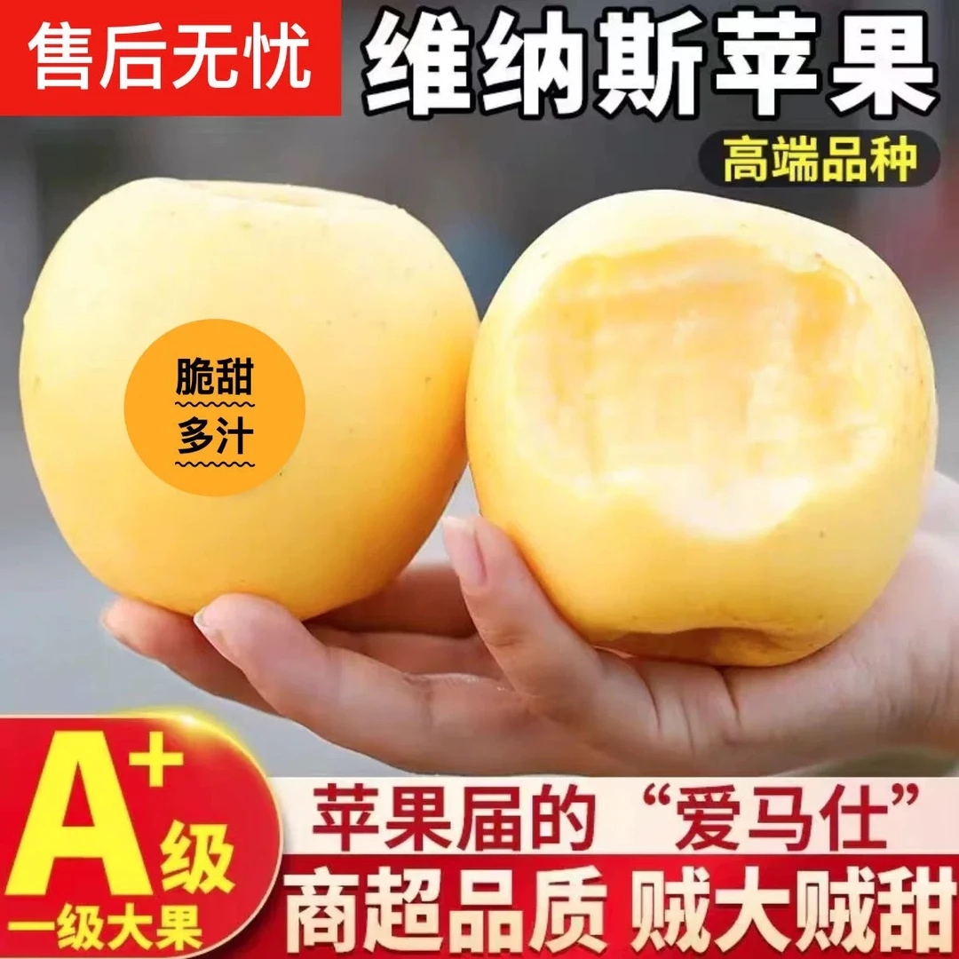 【纯甜无酸】正宗山东维纳斯黄金苹果脆甜多汁新鲜水果生鲜